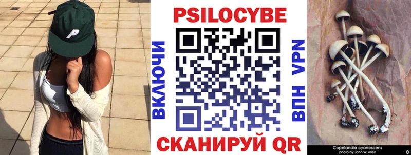 закладка  Малоархангельск  Псилоцибиновые грибы мицелий 